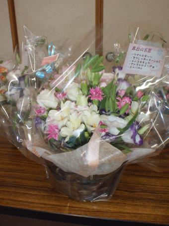 様々な種類の花が鉢に入り透明なラッピングペーパーがされた花の写真