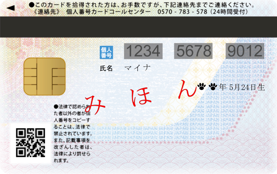 マイナンバーカード見本裏面