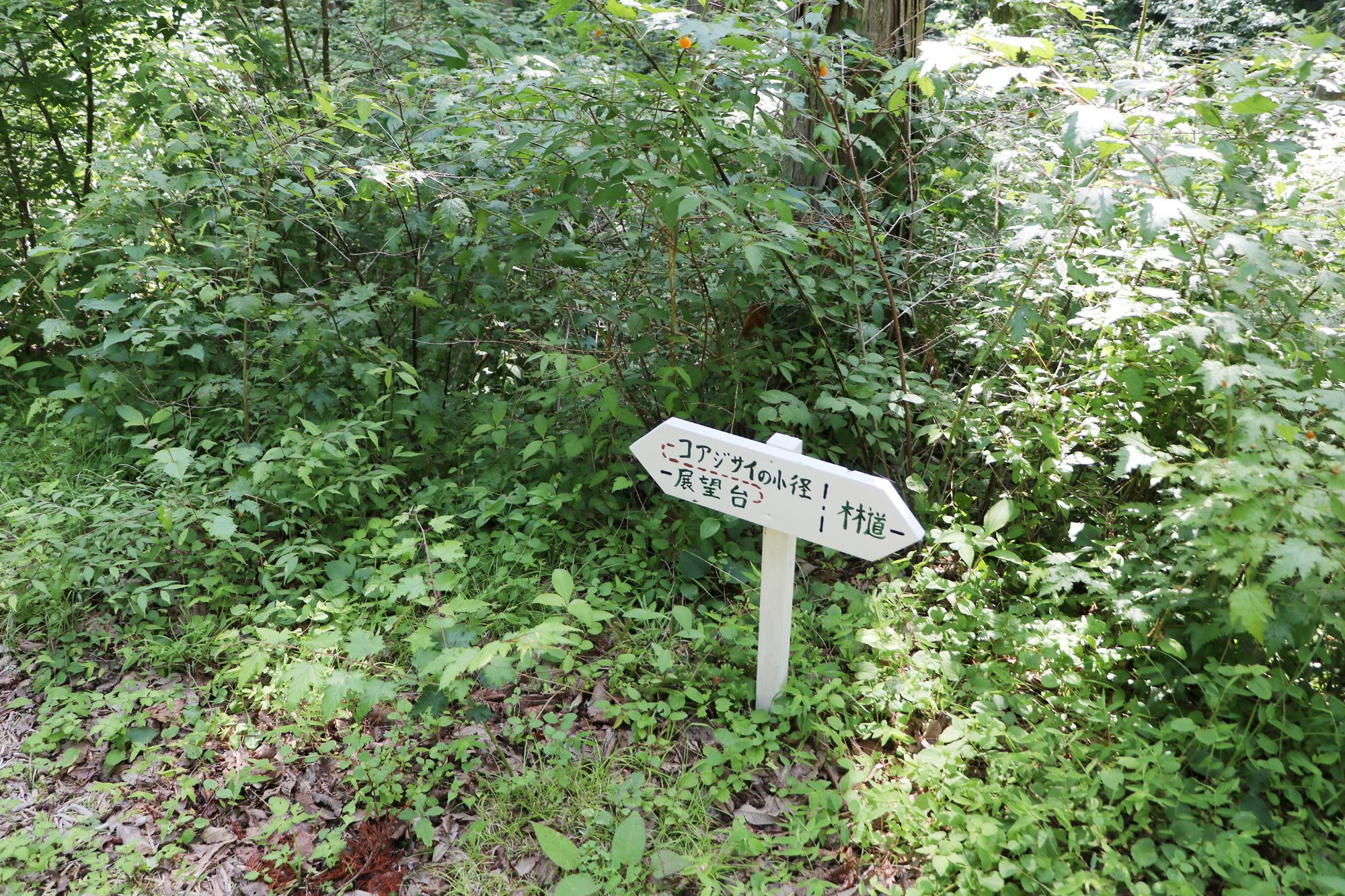 町民の森の看板