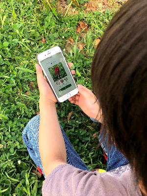 BIOME_app_how_to_use