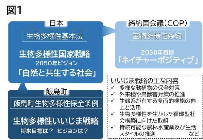 図1