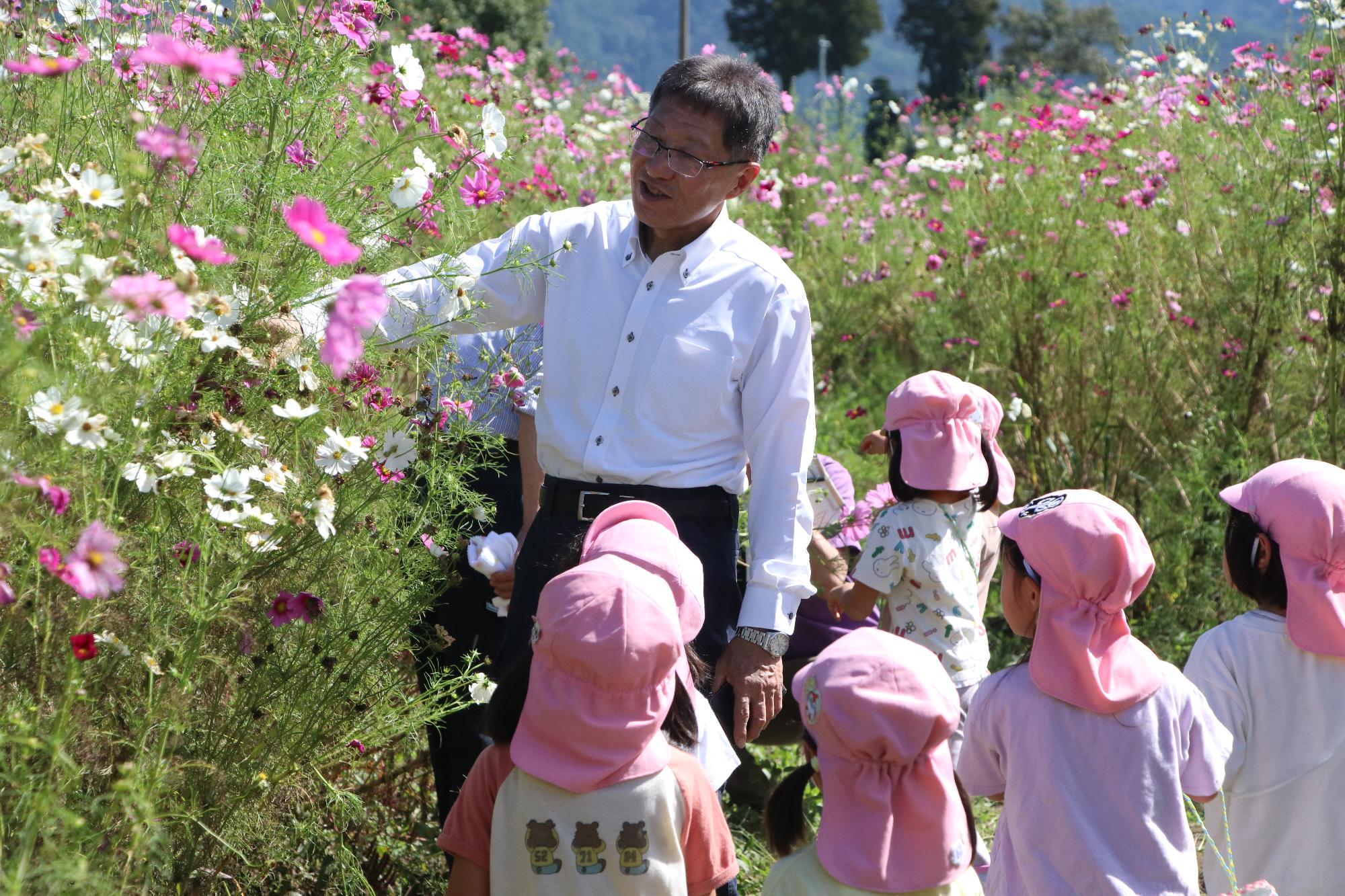 2025年10月8日「コスモス摘み（飯島・東部保育園）」