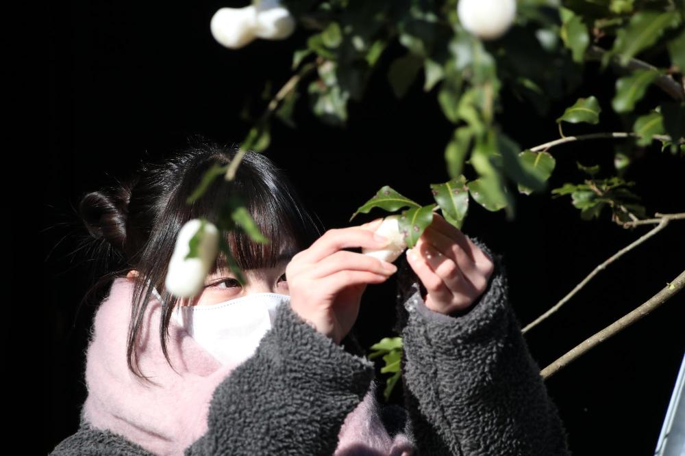 まゆ玉をつけている写真