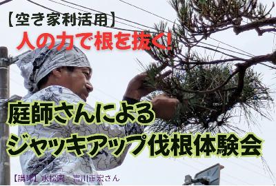 ジャッキアップ伐根体験会チラシ