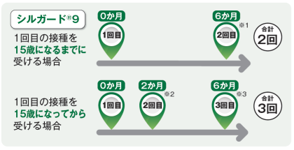 スケジュール