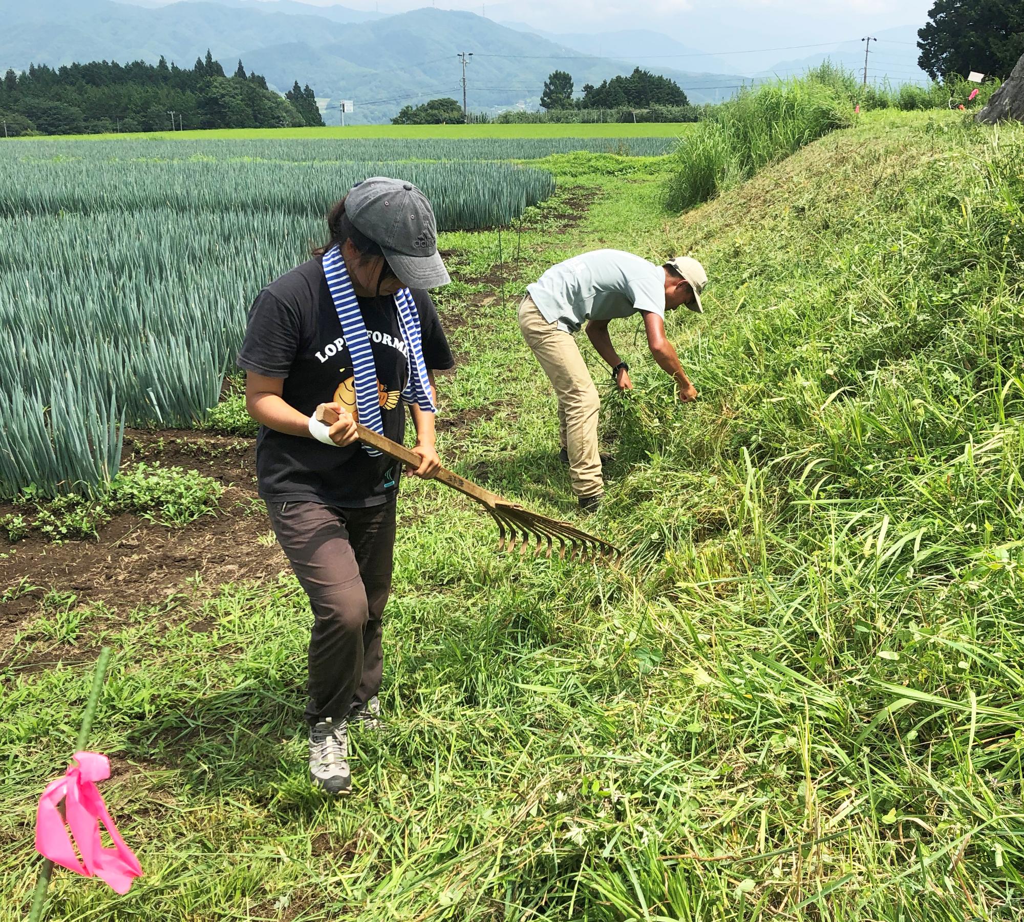 保全活動