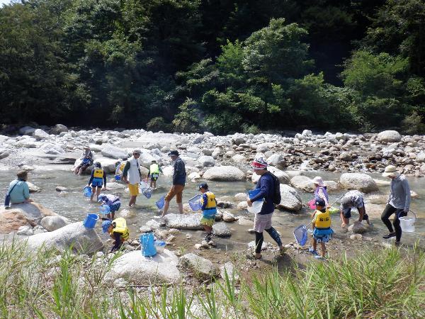 2024よたっ子と遊ぼう川辺の生き物観察