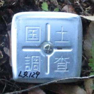 地籍細部図根点アルミ頭杭