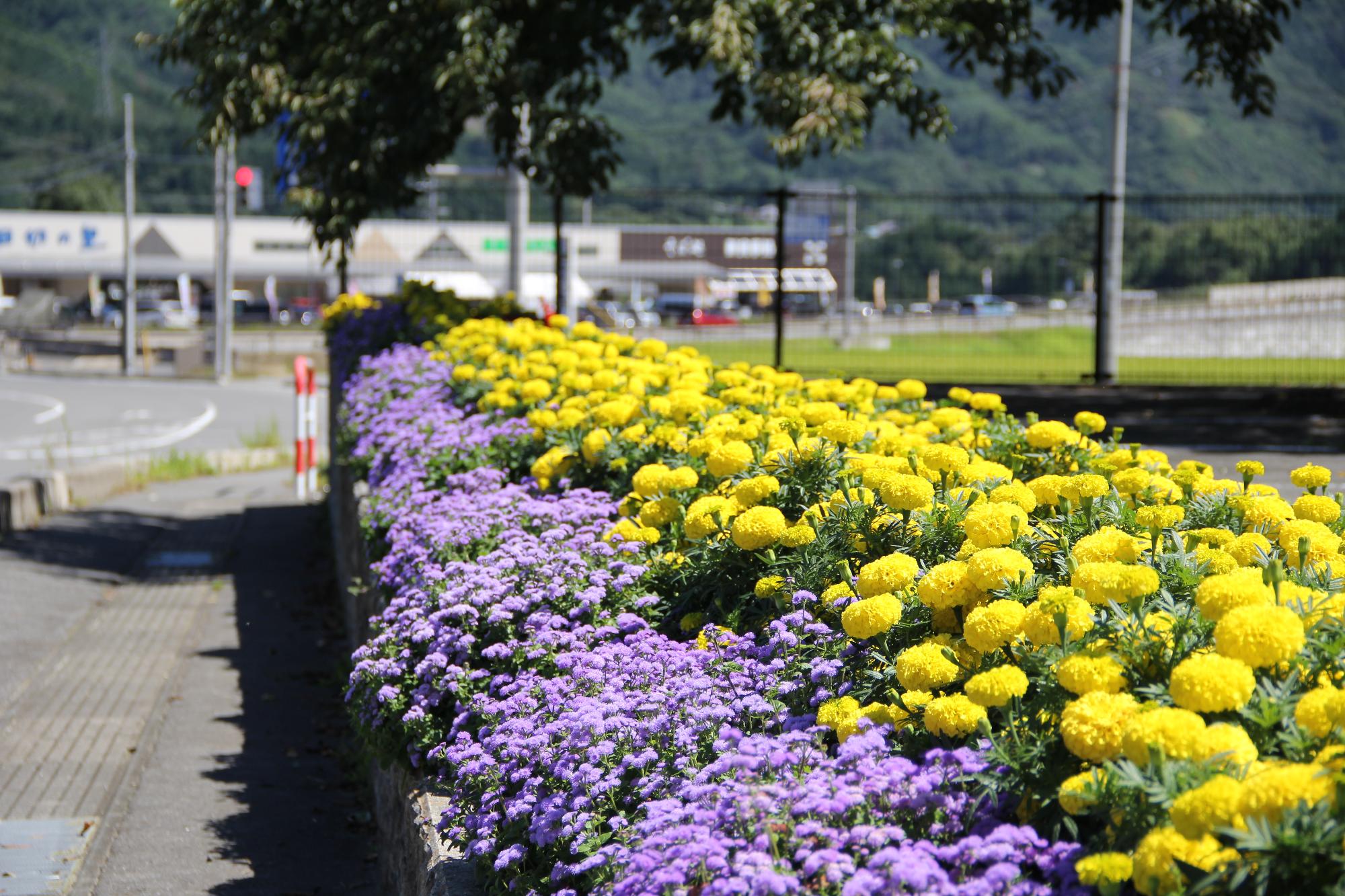 花のあるまちづくり