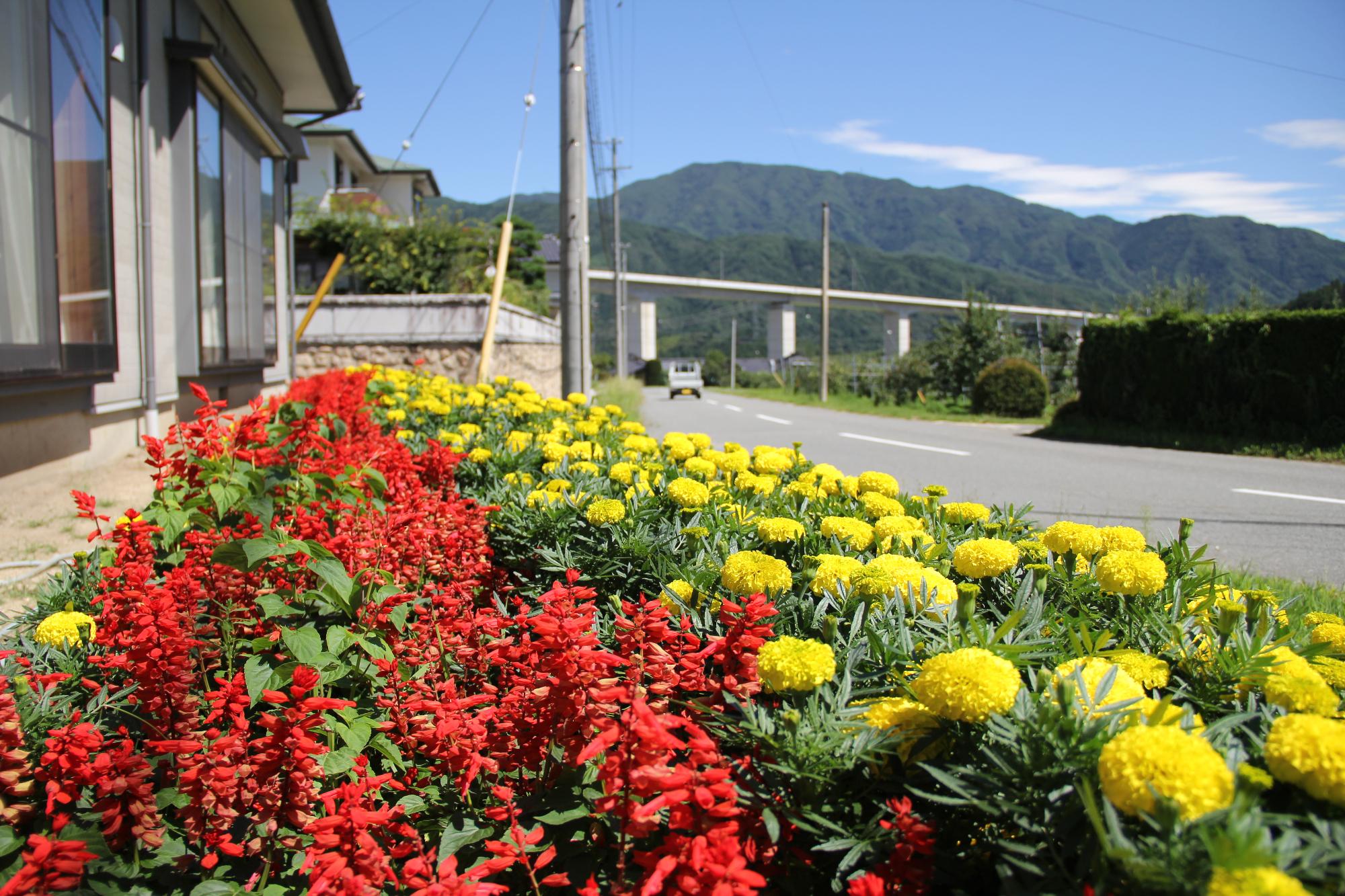 花のあるまちづくり